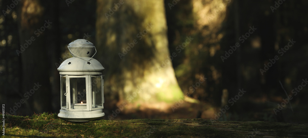 Lantern with burning candle on log in forest