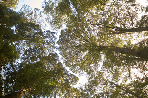 B  ume  Klimawandel  Struktur.