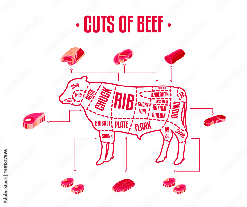 Meat and Beef cuts. Diagrams for butcher shop. Scheme of beef. Vector