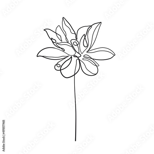 One Line Vector Drawing of Flower. Botanical Modern Single Line Art, Aesthetic Contour. Perfect for Home Decor, Wall Art Posters, or t-shirt Print, Mobile Case. Continuous Line Drawing