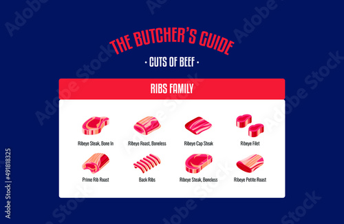 Meat and Beef cuts. Diagrams for butcher shop. Scheme of beef. Vector illustration. Beef butcher's guide. Used for cooking steak and roast - t-bone, rib eye, porterhouse, tomahawk, etc.