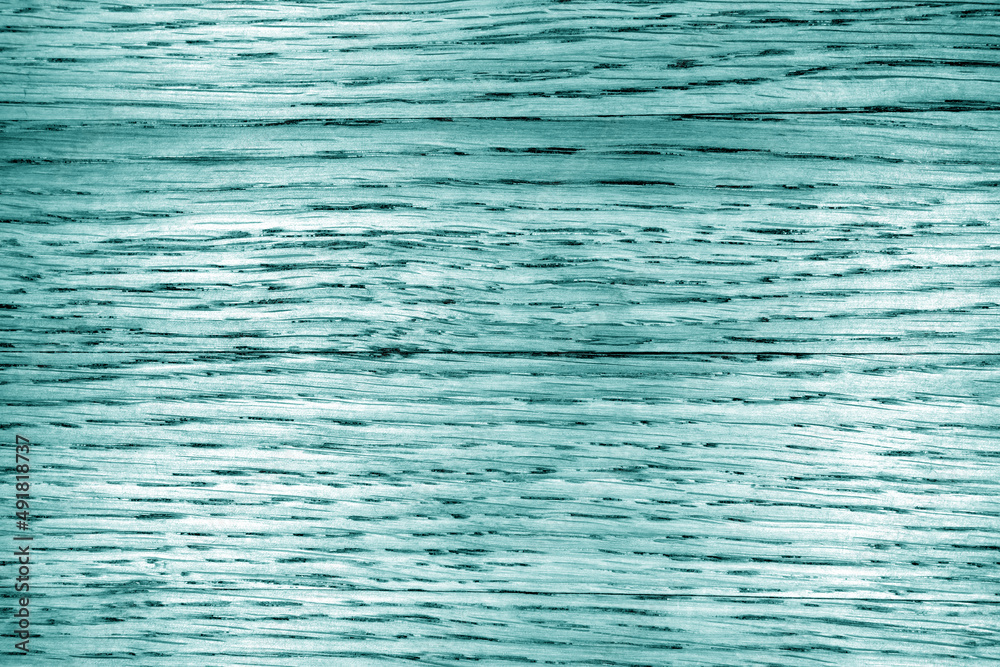 Oak bard pattern and texture as background in cyan tone.