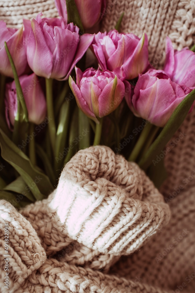 Mother's Day or International Women's Day. Knitted warm sweater with pink tulips on the coffee table in the home interior of the living room. Cozy spring concept. Mother's Day or International Women's Day. Knitted warm sweater with pink tulips on the coffee table in the home interior of the living room. Cozy spring concept.