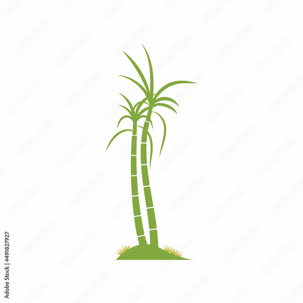 Sugar cane plant logo vector illustration design