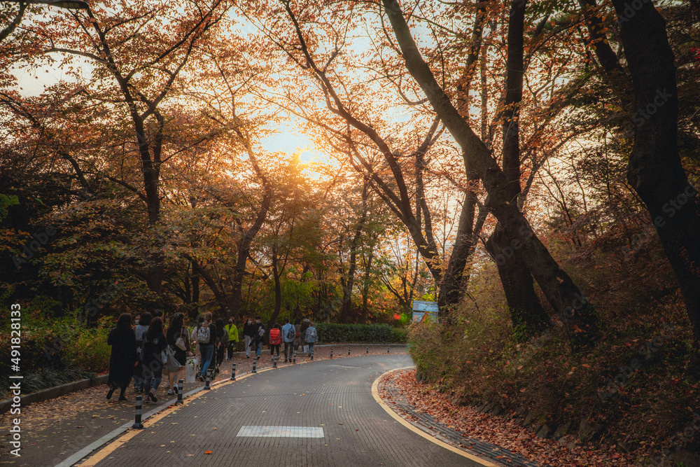 Fototapeta premium sunset in the park while people go down hill for back home 
