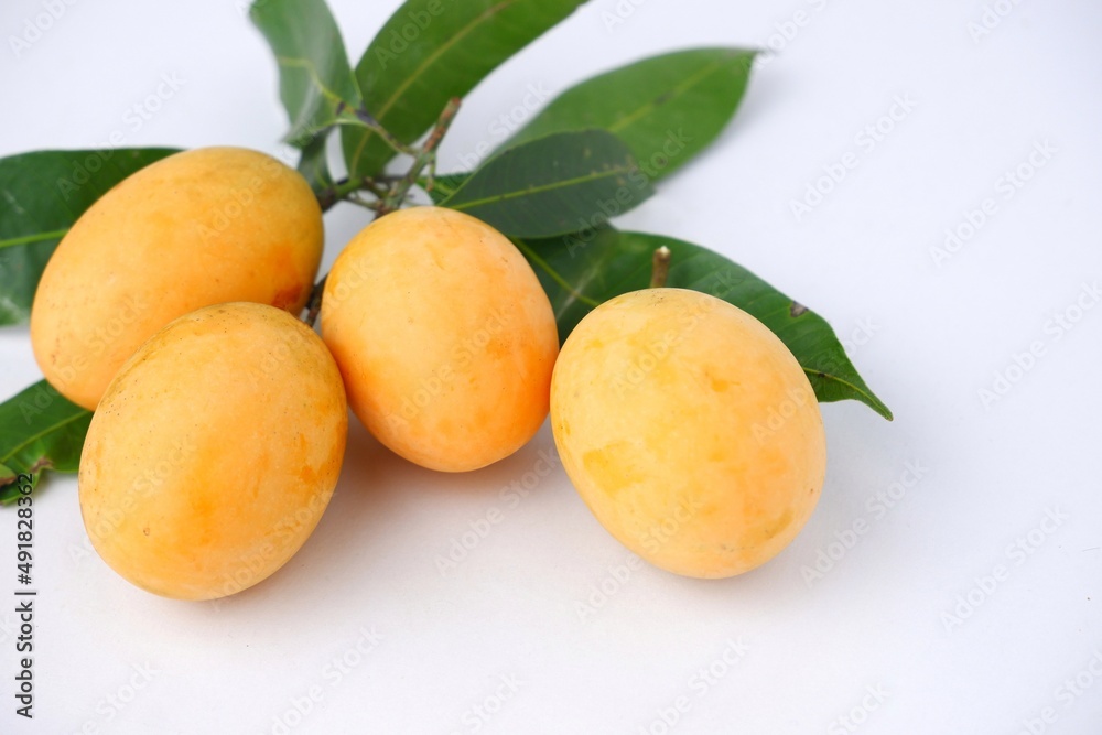 Marian plum,Marian mango or plango ,sweet and sour mayongchit isolated on white background. Marian plum,Marian mango or plango ,sweet and sour mayongchit isolated on white background.