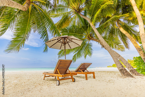 Amazing vacation beach. Chairs on the sandy beach near the sea. Summer romantic holiday concept for tourism. Tropical island landscape. Tranquil shore scenery, relax sand seaside horizon, palm leaves