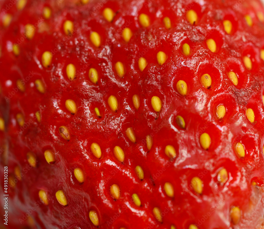 fresh Strawberry Closeup, may use as background fresh Strawberry Closeup, may use as background