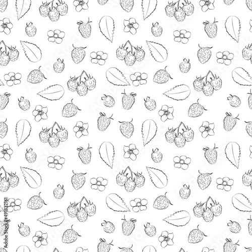 Fruits, berries doodle. Healthy food background. A set of seamless pattern with Raspberry, vector graphics, 1000x1000.