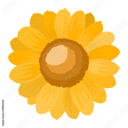 flat design of a sun flower isolate on white background 