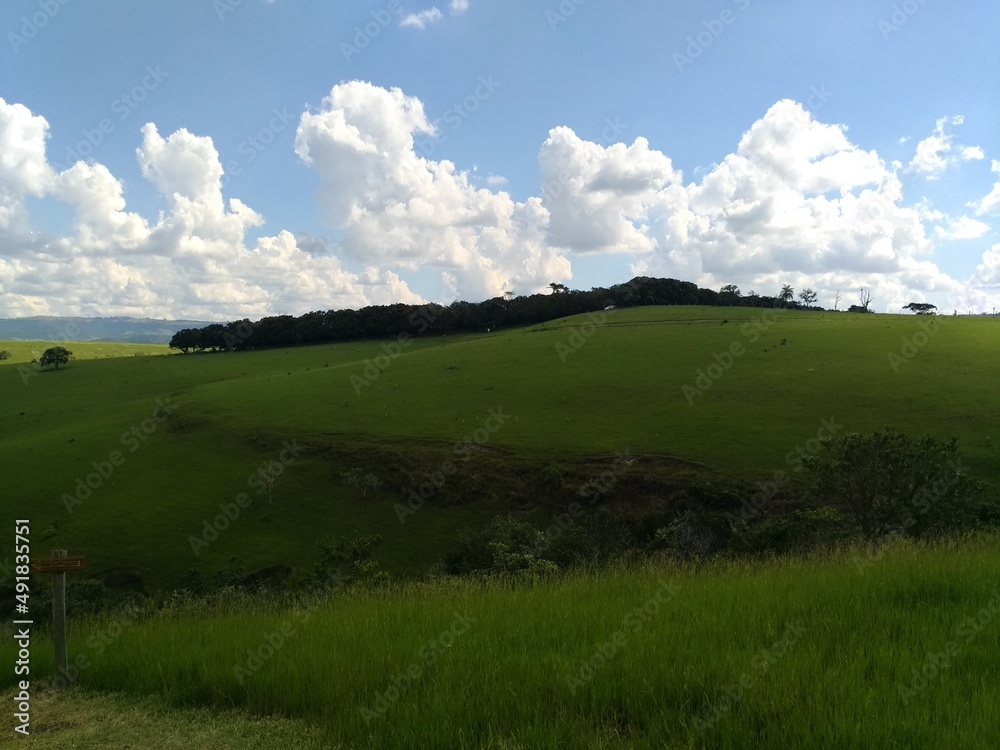 Obraz premium field and blue sky