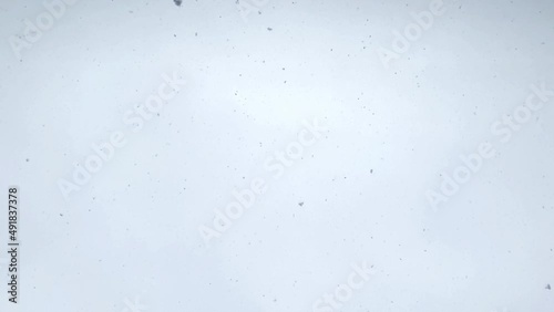 雪 降る 空 スローモーション