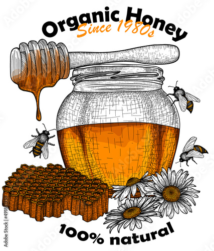 Vector label template. Graphic linear honey jar, honey bucket, bees, chamomile, honeycomb