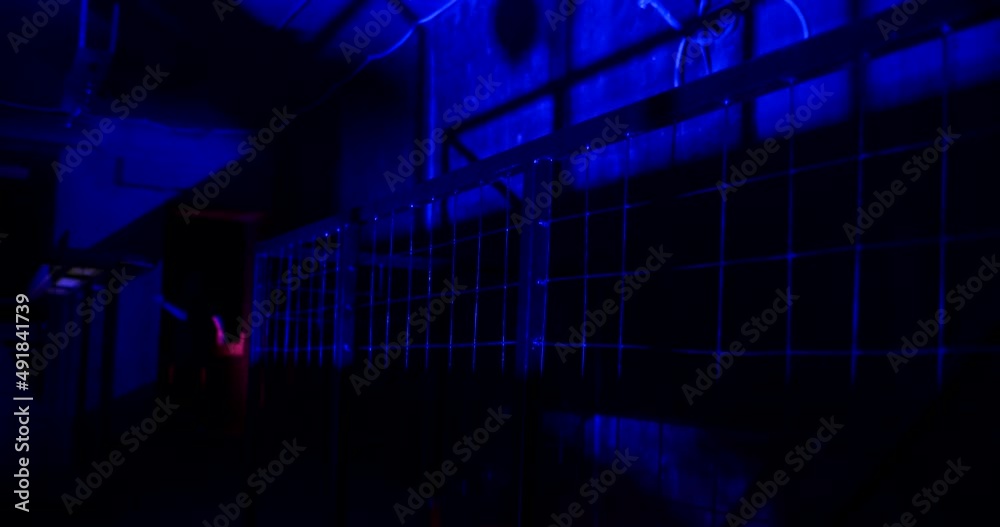 Scared and confused girl runs along the corridor of metal nets from the pursuer. In the middle of the corridor, she turns back. The victim try to hide in the dark corners of abandoned building