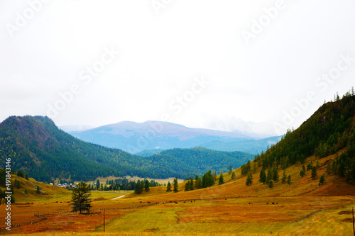 The nature of Altai, the photo shows mountains, meadows, the Katun River, Beryuzovaya Katul.