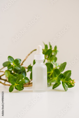 White bottle with dropper from serum on a neutral natural light table. Still life minimalistic beauty organic cosmetics template for beauty business and industry. Bright fresh green leaves in a frame.