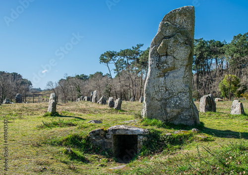 Carnac: Neolithic menhirs of Manio, a site located in Morbihan in Brittany, the town is known for its alignments of 2,934 menhirs. photo