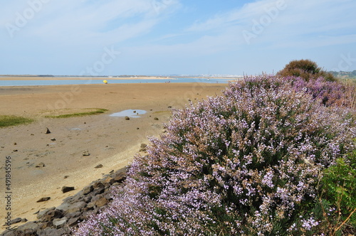 Ria de Alvor  Algarve  Portugal