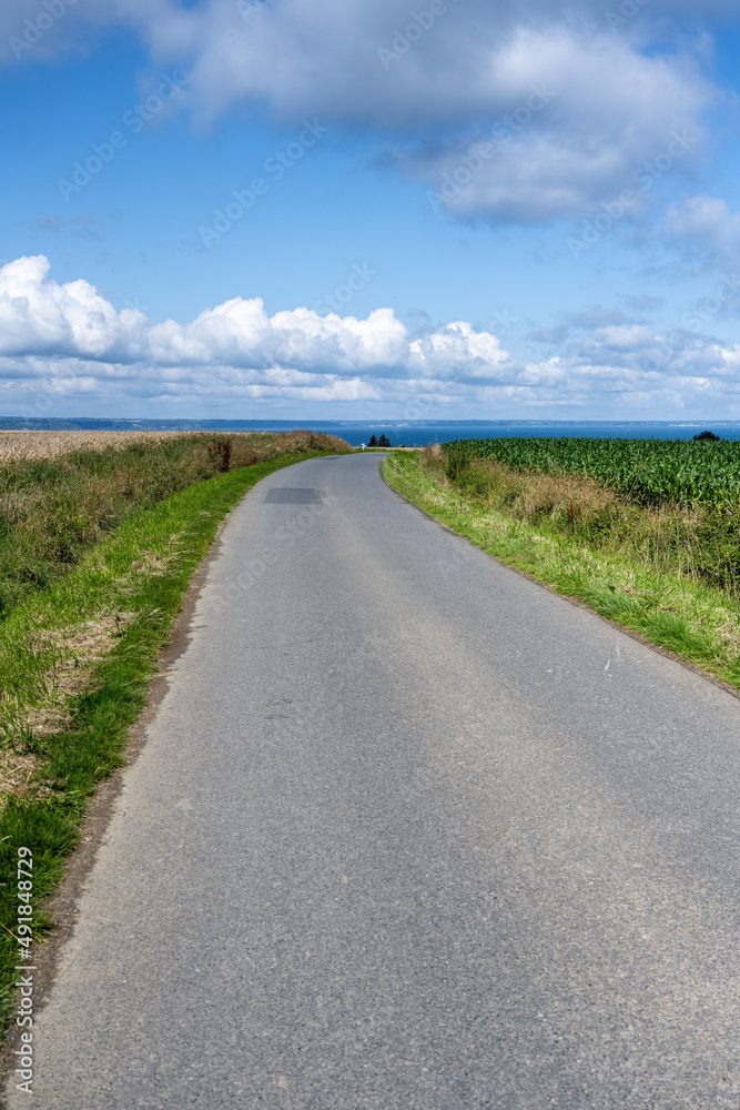 A simple asphalt country road without lane markings leads through flat overgrown fields under a blue sky with cheerful clouds.