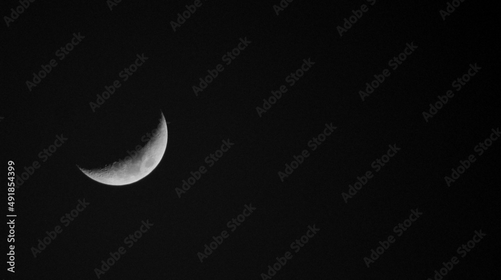 the moon the moon