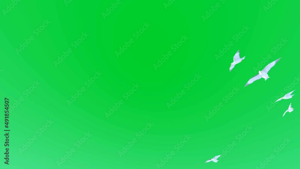 Flock of seagull flying against green background