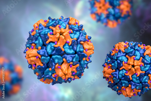 Poliovirus, an RNA virus from Picornaviridae family that causes polio disease