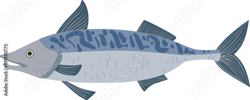 Fish as Aquatic, Craniate, Gill-bearing Animal with Fins Side View Closeup
