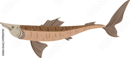 Fish as Aquatic, Craniate, Gill-bearing Animal with Fins Side View Closeup