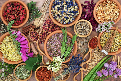 Herbal plant medicine  preparation with herbs and flowers for natural organic healing medication. Alternative plant based health care concept. Top view, flat lay on rustic wood background.  photo