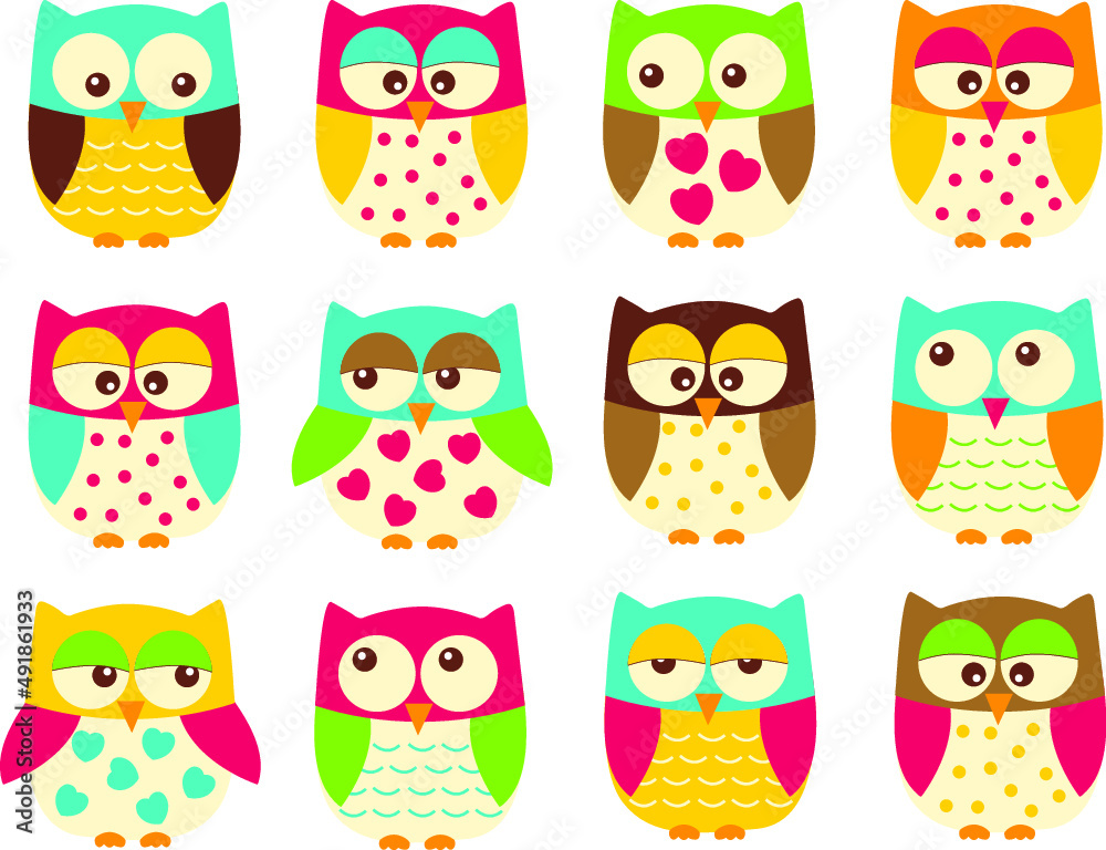 Owls, Birds, collection