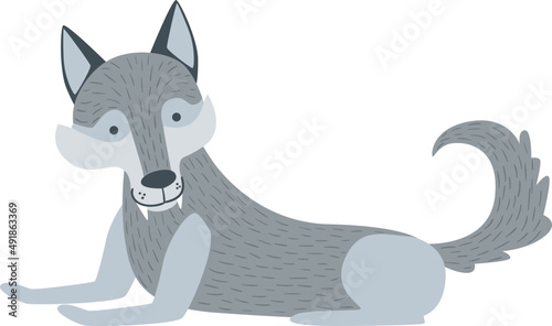 Gray or Grey Wolf as Large Canine and Carnivore Forest Animal with Pointed Ears