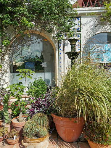 Jardín Botánico 
