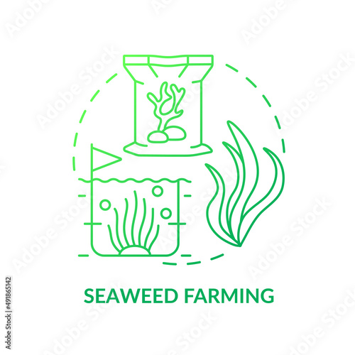 Seaweed farming green gradient concept icon. Nutritious food production. Agricultural trends abstract idea thin line illustration. Isolated outline drawing. Myriad Pro-Bold font used