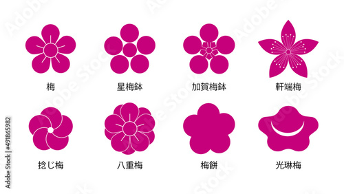 Japanese traditional plum pattern
