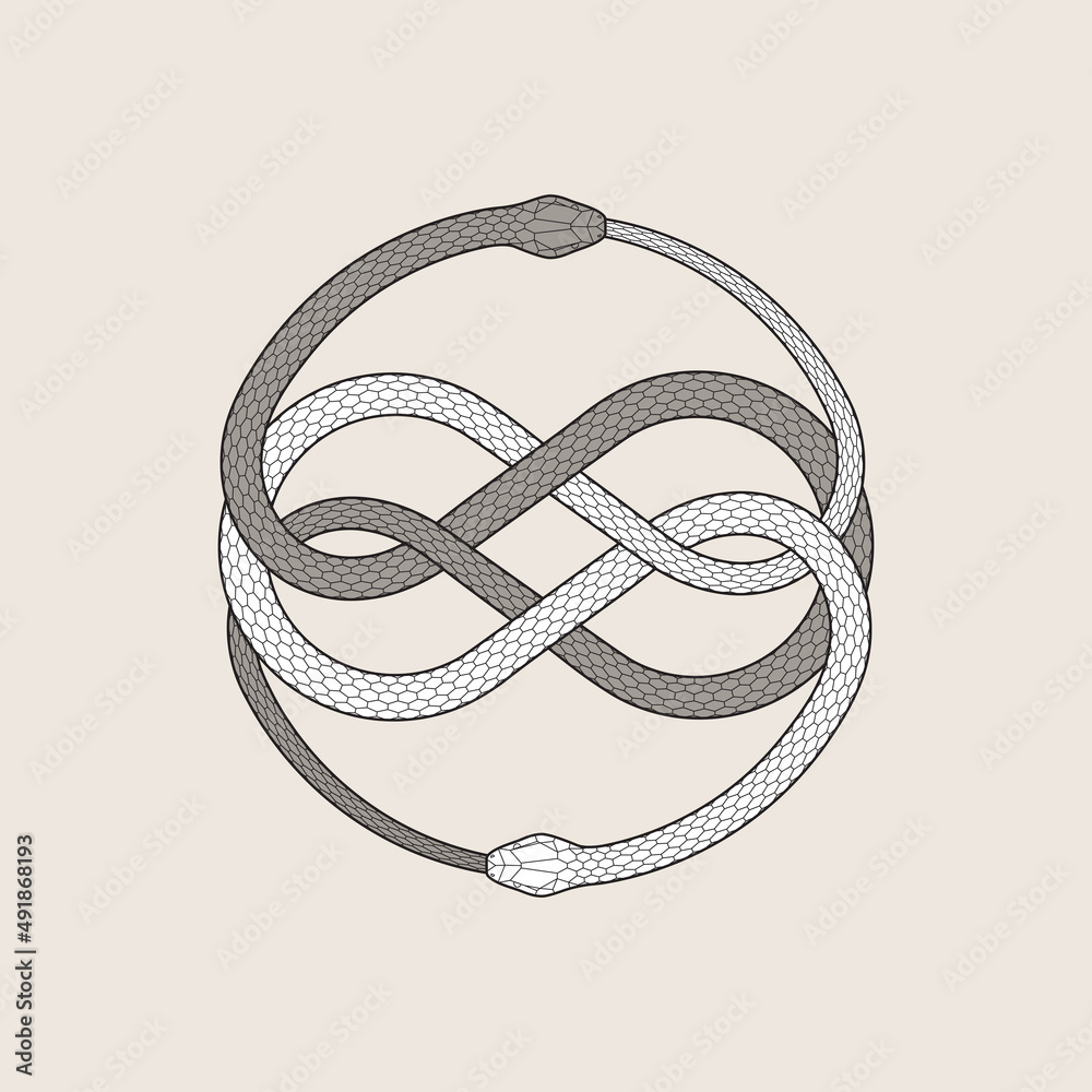 Ouroboros symbol. Two entwined snakes, serpent eating its own tale. Detailed vector illustration, EPS 10