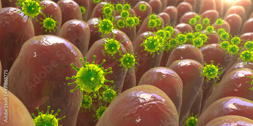 Viruses in human intestine photo