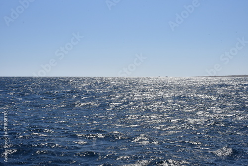 Red Sea of Egypt. Beautiful sea waves.