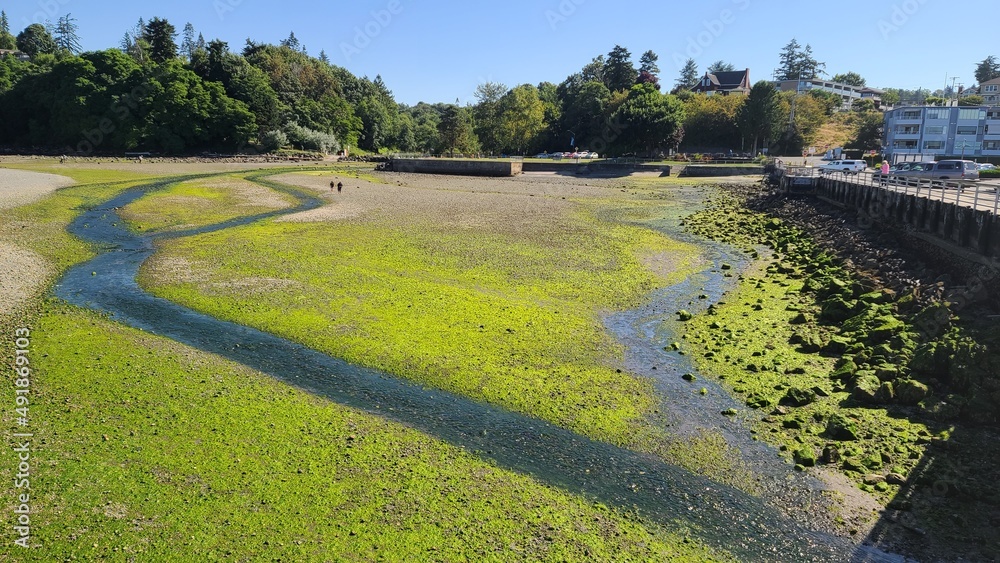 Low Tide Beach