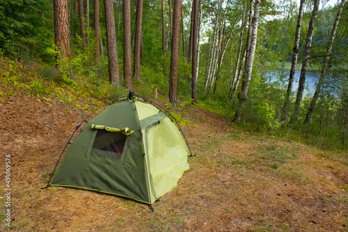 Tent in a pine tree forest