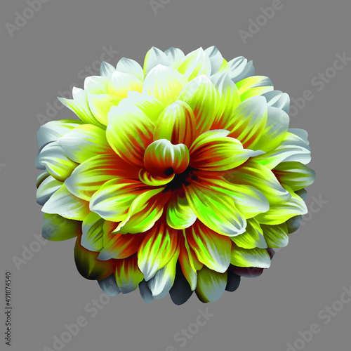 abstract flower background