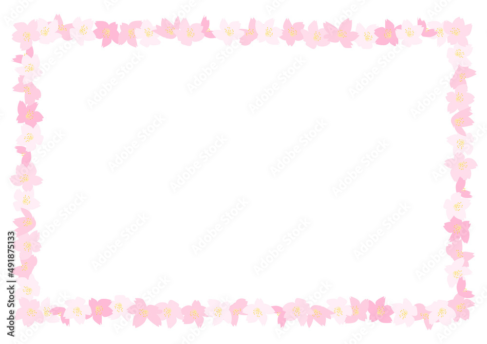 桜の花の四角フレームイラスト