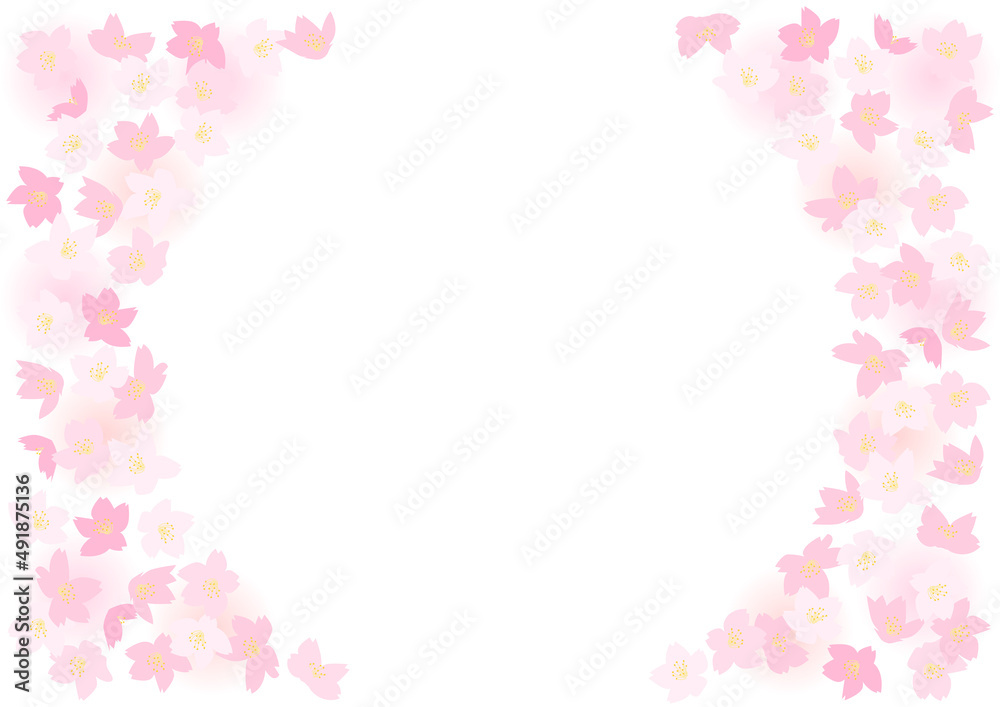 桜の花のフレームイラスト 