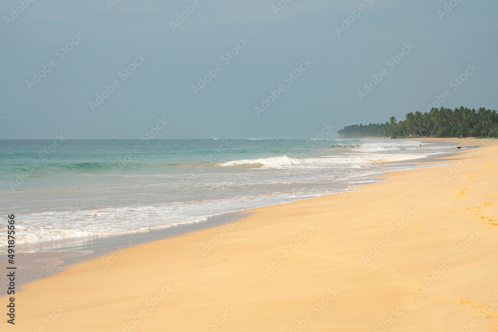 Sri Lanka ocean sand beach landscape