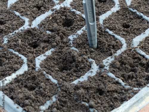 preparing the soil for sowing in the greenhouse