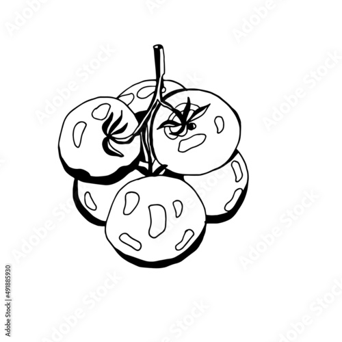 drawing black and white tomatoes