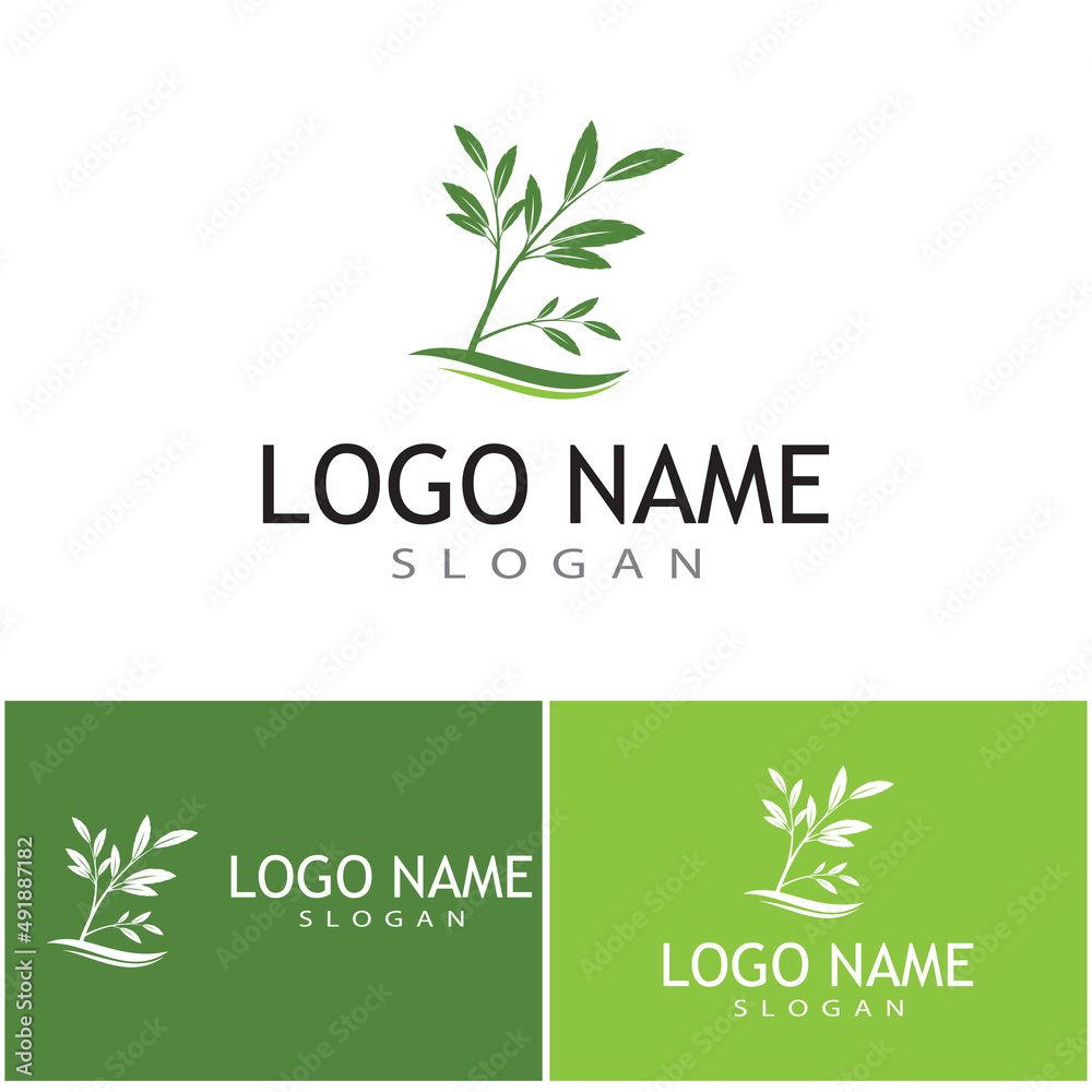 Leaf icon Vector Illustration design Logo template Leaf icon Vector Illustration design Logo template