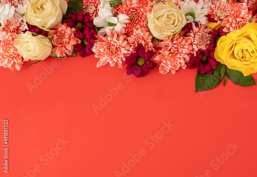 colorful blooming flowers on red background with copy sapace. creative minimal composition photo