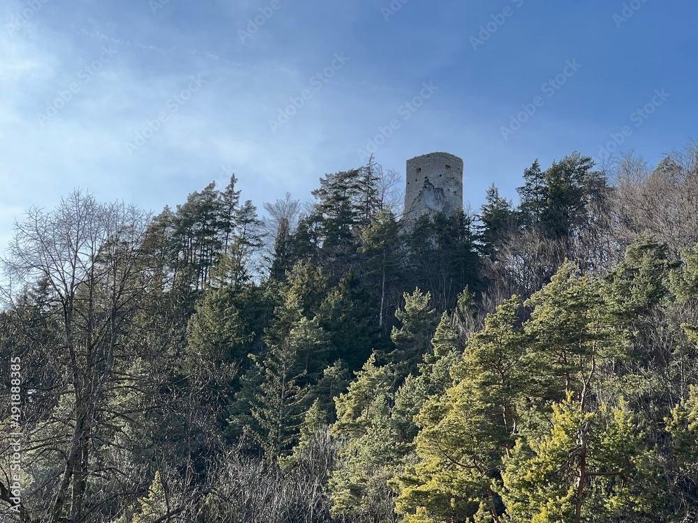 Ruins of a castle on a hilltop surrounded by trees and hidden among them. 