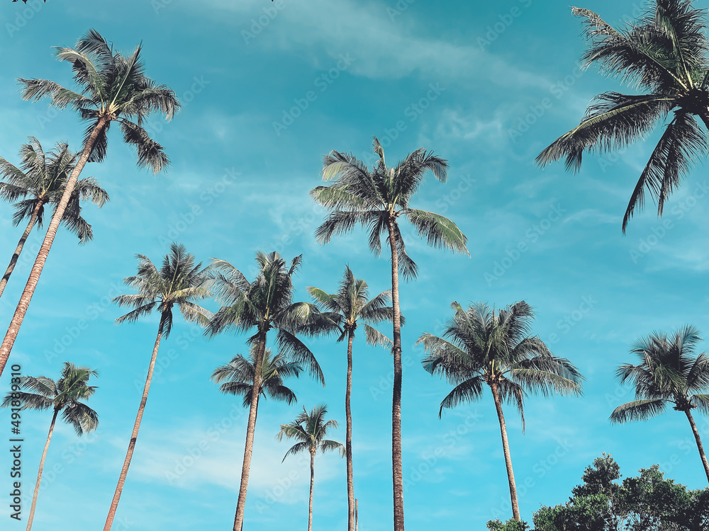 Summer on the beach blue sky with tropical palms trees silhouettes