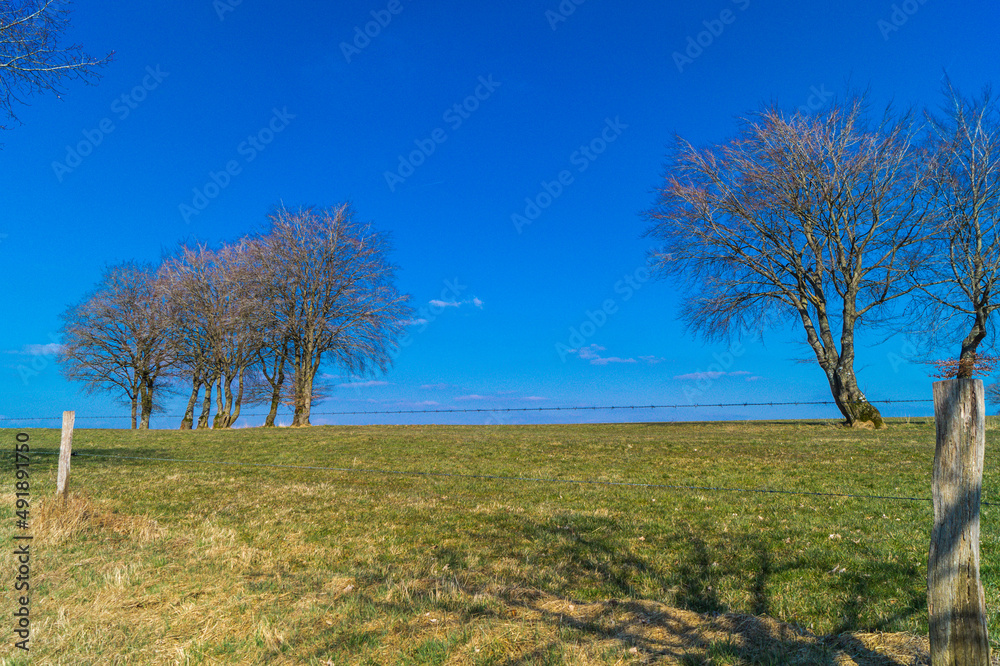 Obraz premium marche dominicale